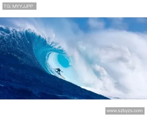 运动数据南京极限运动队意识形态的深度对比与发展趋势分析